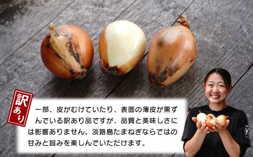 【訳あり】小さな淡路島たまねぎ 2Sサイズ 10kg　 [玉ねぎ 玉ねぎ 玉ねぎ 玉ねぎ 玉ねぎ 訳あり 訳あり 訳あり]