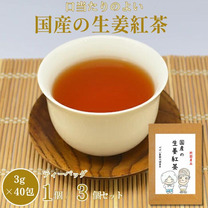 国産 生姜紅茶