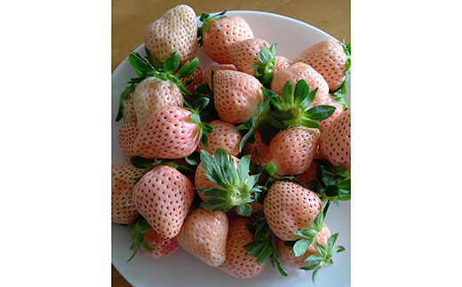 ＜訳あり品＞ 群馬県産白イチゴ「淡雪」(各220g以上×4パック)【2026年3月1日〜5月15日発送】 小粒 訳あり 白いちご 淡雪 群馬県産 苺 イチゴ 淡雪 詰合せ 果物 フルーツ 食品 F21