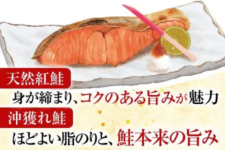甘塩紅鮭5切×2P、甘塩沖獲れ鮭5切×2Pセット A-36007