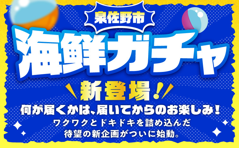 【期間限定】泉佐野 海鮮ガチャ（寄附10,000円コース）【海鮮 えび 鮭 サーモン しらす 刺身 普段使い お楽しみ 翌月以降】 gacha015_イメージ2