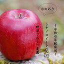 【ふるさと納税】 387 　※訳あり りんご：シナノスイート5kg 11月中下旬以降発送【野澤フルーツ農園】