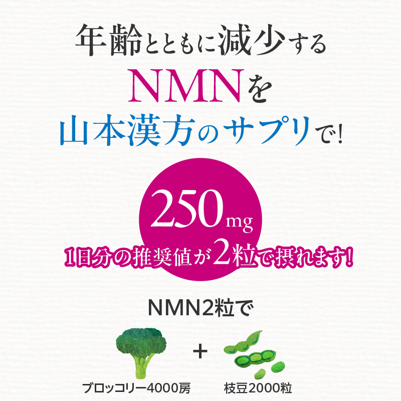 ＜6ヶ月連続定期便＞NMN[027Y28-T]_イメージ4