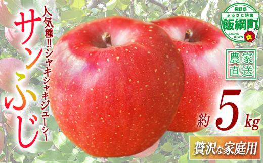りんご サンふじ 贅沢な 家庭用 5kg ( 11玉 〜 20玉 ) 庚申山荘ファーム 沖縄県への配送不可 2026年11月中旬頃から2026年12月上旬頃まで順次発送予定 令和8年度収穫分 信州 果物 フルーツ リンゴ 林檎 長野 予約 農家直送 長野県 飯綱町 [1477]