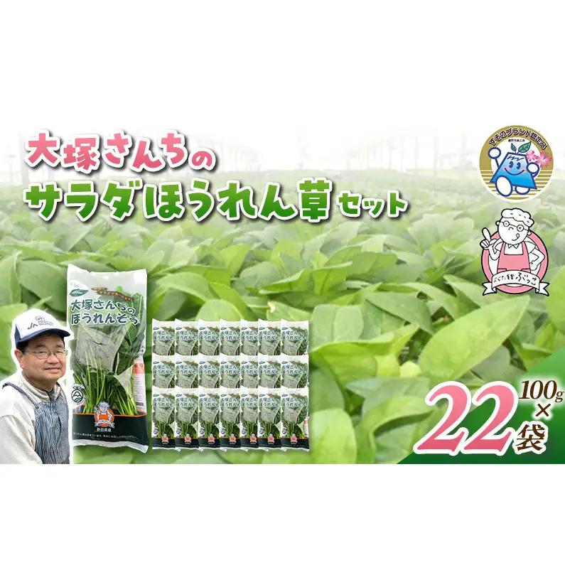 サラダほうれん草 22袋 野菜サラダセット 詰め合わせ ほうれんそう ホウレン草 新鮮 産地直送 大容量 業務用 まとめ買い 野菜セット ギフト 詰合せ 常備野菜