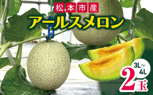 【先行受付：9月発送】訳あり メロン アールスメロン 2玉 ( 3L ～ 4L ) | 長野県 松本市産 メロン アールスメロン あーるすめろん 果物 くだもの 長野県 松本市 ふるーつ フルーツ