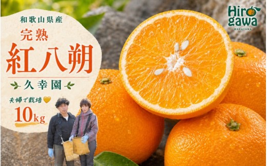 
            完熟 紅八朔 5kg 久幸園 / はっさく 甘い 和歌山 柑橘 ※3月中旬～4月中旬頃に順次発送予定 【hsk022-beni-10】
          
