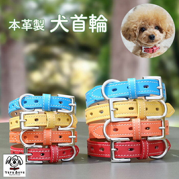【ふるさと納税】No.015 犬首輪　本革製　ペット用品　小型犬　中型犬　犬用品　犬グッズ　犬用首輪　日本製 ／ 本革 国産人工皮革 ベルエース 耐久性 革職人 愛犬 てるべる 送料無料 埼玉県