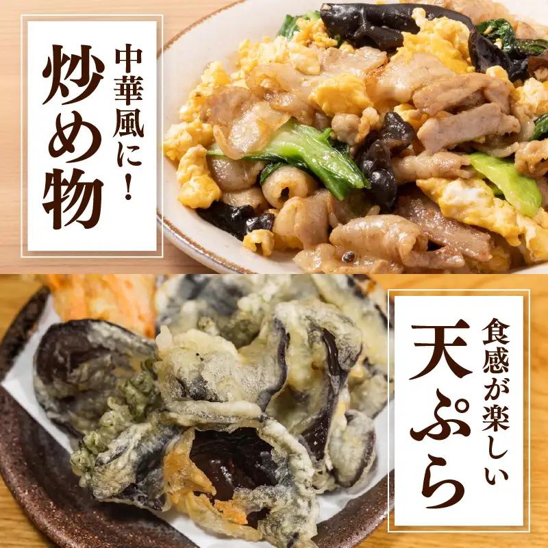 期間限定 生きくらげ 200g×6パック 計1.2kg キクラゲ
