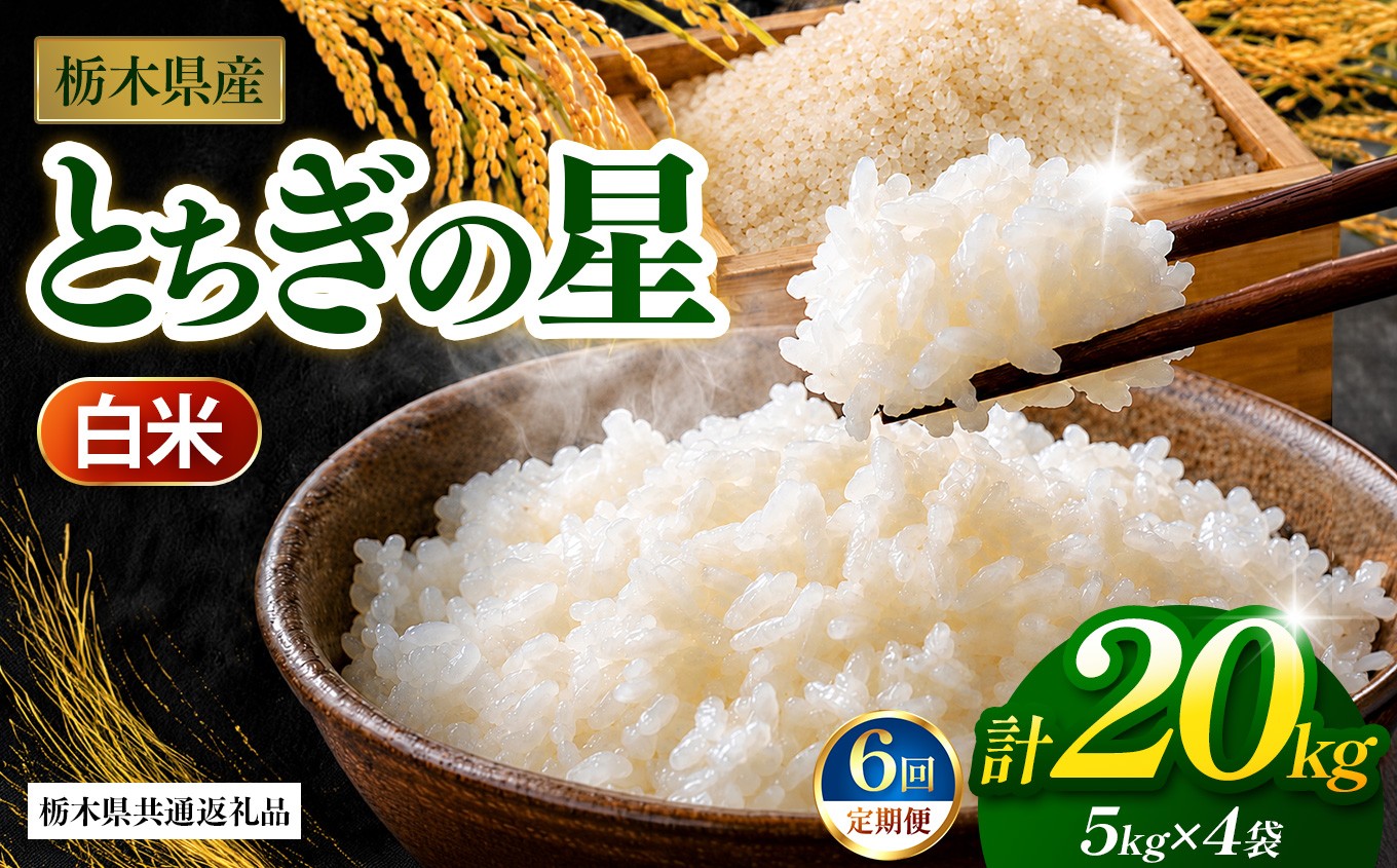 
                  【先行予約】【定期6回】 とちぎの星（白米）約 20kg 栃木県共通返礼品｜とちぎの星 米 白米 おいしい お米 こめ おこめ 白米 精米 国産 ごはん ご飯 白飯 米 おこめ 白米 精米ゴハン ランキング 人気  ふるさと 納税 栃木県 那珂川町 送料無料
                