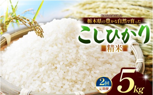 【先行予約】【栃木県共通返礼品】【定期2回】こしひかり（白米）約 5kg ｜コシヒカリ 米 白米 おいしい お米 こめ おこめ 白米 精米 国産 ごはん ご飯 白飯 米 おこめ 白米 精米ゴハン ランキング 人気  ふるさと 納税 栃木県 那珂川町 送料無料