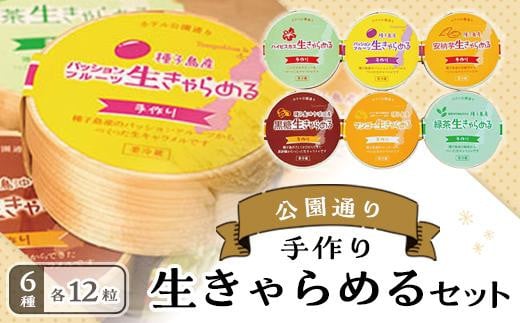 
＜種子島の素材使用＞生きゃらめる詰め合わせ(6種・各12粒入)＜ホテルレストラン公園通り＞【キャラメル 生キャラメル きゃらめる 生きゃらめる 安納芋 安納いも いも 手作り 黒糖 緑茶 ハイビスカス パッションフルーツ マンゴー 詰め合わせ 詰合せ スイーツ おやつ こども 本場 種子島産 素材 鹿児島県 種子島 ふるさと納税 送料無料 N015】
