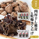 【ふるさと納税】干し 椎茸 乾燥 きくらげ 各120g 40g×3P 計 240g 計 6P セット どんこ 肉厚 国産 乾燥シイタケ 小分け パック 保存 便利 使い勝手 チャック付き 大分 国東 乾しいたけ 干しキクラゲ お取り寄せ グルメ 送料無料