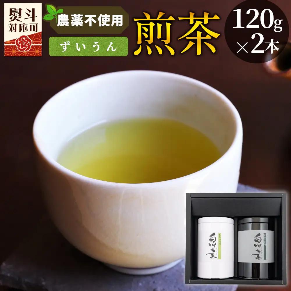 農薬不使用！煎茶 ギフト NO.13 （ずいうん120g×2 計240g） 常磐園 ずいうん 日本茶 緑茶 茶葉 白川茶 春摘み 岐阜県 お取り寄せ 贈答用 プレゼント 母の日 ギフト