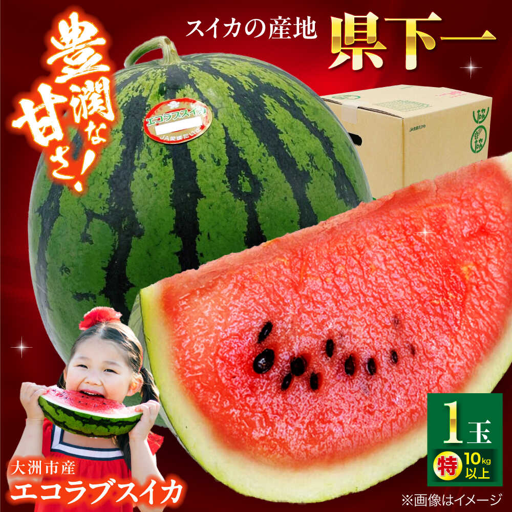 【ふるさと納税】【先行予約】【2026年5月下旬から順次発送】愛媛県産 エコラブスイカ 特1玉 愛媛県大洲市/株式会社フジ アグリフーズ[AGBA017] スイカ すいか 西瓜 くだもの 果物 フルーツ 新鮮 愛媛県産 大洲市産 産地直送 おすすめ 人気 お取り寄せ 送料無料 贈答 ギフト