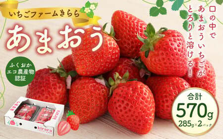 あまおう 約570g 約285g×2パック いちごファームきらら いちご イチゴ 苺【ふくおかエコ農産物認証】【2027年2月上旬から3月下旬発送予定】