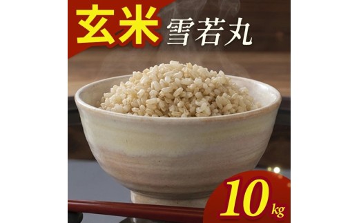令和7年産【玄米】雪若丸　10kg(5kg×2袋) YA SC0647