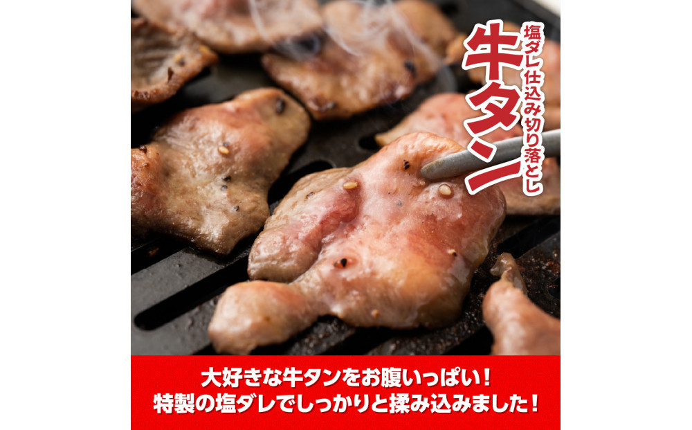 牛タン塩ダレ仕込み切り落とし3kg（500g×6パック）【配送不可：離島】