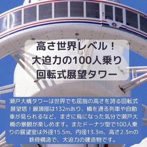 瀬戸大橋タワー　小人入場券1枚（3歳～中学生）