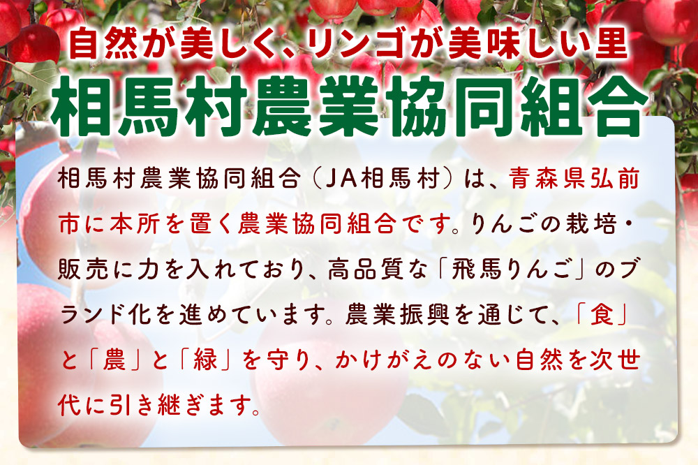無添加りんごジュース2種（ふじ・ブレンド）詰め合わせ1L×各種3本 計6本
