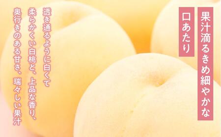 桃 ぶどう 2024年 先行予約 白桃 2玉（1玉200g以上） シャイン マスカット 『晴王』2房（合計約940g）詰合せ もも 葡萄 岡山県産 国産 フルーツ 果物 ギフト [No.5220-04