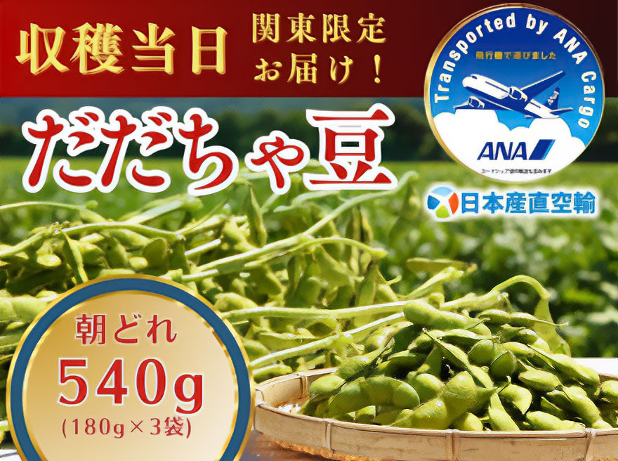 
            【令和7年産先行予約】朝採れだだちゃ豆 540g（180g×3袋) 「産直空輸」で限界鮮度を当日お届け！　山形県鶴岡市特産
          