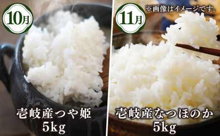【全6回定期便】壱岐産農産物定期便《壱岐市》【壱岐市農業協同組合】米 コシヒカリ じゃがいも いちご 野菜セット [JBO159]