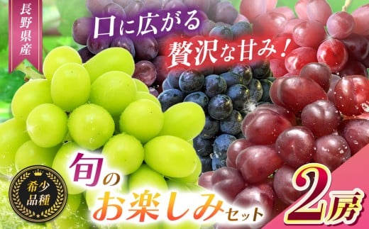 【2025年 先行予約】【希少品種・お楽しみセット】シャインマスカット１房と旬の完熟１房詰め合わせ【10月中旬頃より発送予定】  | シャイン ぶどう 葡萄 くだもの 果物 フルーツ マスカット マイハート クイーンルージュ® BKシードレス 富士の輝き 先行 希少 先行予約 長野県 塩尻市