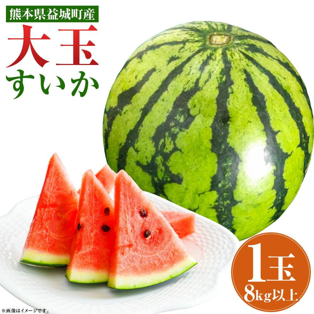 【ふるさと納税】大玉すいか 1玉 約8kg 品種おまかせ ランダム すいか 西瓜 フルーツ 果物 益城すいか 熊本県産 益城町産 九州産 送料無料【2026年4月下旬～7月上旬に発送予定】