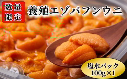 【数量限定】浜中産　養殖エゾバフンウニ(塩水パック)100g_H0009-003