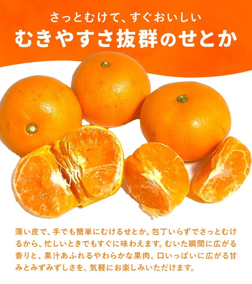 せとか 訳あり 4kg