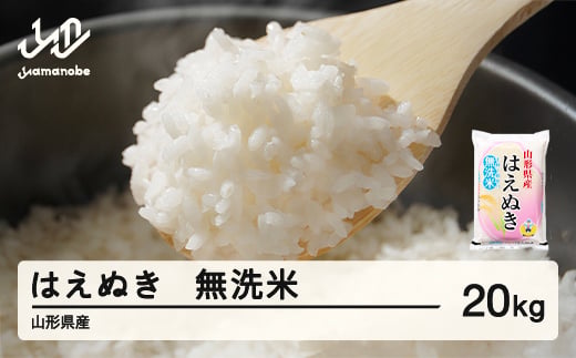 ＜先行予約＞新米 米 はえぬき 無洗米 20kg 令和8年産 2026年産 山形県産 12月中旬〜12月下旬頃に順次発送 tf-hamxb20-12s