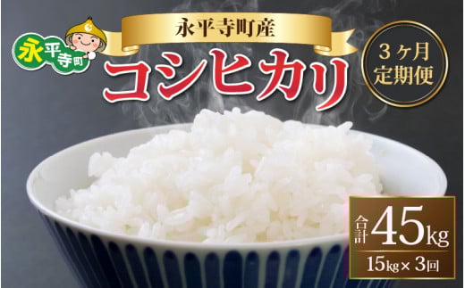 【3ヶ月連続お届け】【白米】 令和5年度産 永平寺町産 コシヒカリ 15kg×3ヶ月（計45kg） [I-033049]