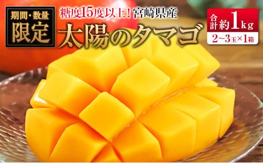 
◆糖度15度以上！宮崎県産 「太陽のタマゴ」（合計約1kg）
