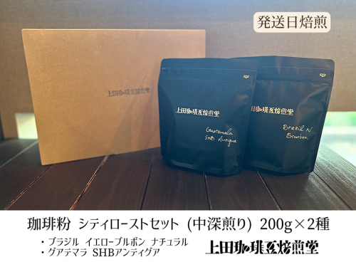 【上田珈琲豆焙煎堂】珈琲豆 中深煎り セット 200g×2種 セット ブラジルブルボン・グアテマラSHB【粉】 HNNBM008