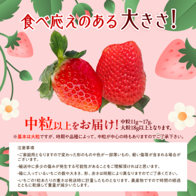 【抜群の美味しさの静岡限定品種:きらぴ香 いちご 280g×4パック】【配送不可地域：離島・北海道・沖縄県・東北・中国・四国・九州】