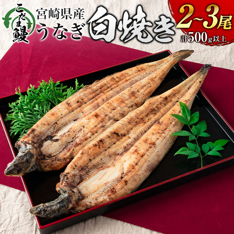 「こだま鰻」宮崎県産 うなぎ白焼き（2～3尾）計500g以上 国産 真空パック【C418‐24】