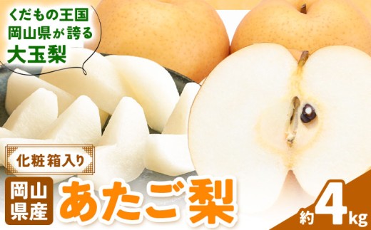 【2026年先行予約】あたご梨 約4kg (3-6玉) 化粧箱入り 株式会社山博《11月下旬-12月下旬頃出荷》岡山県 笠岡市 なし 梨 ナシ 愛宕梨 果物 大玉 岡山県産 国産 送料無料【配送不可地域あり】