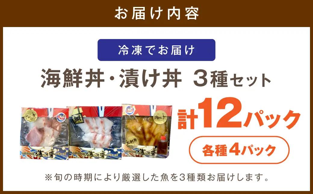 浜田の海鮮丼・漬け丼おまかせ3種セット 12パック 【195_2021】