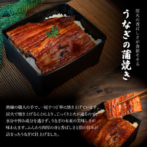 ★最終月きざみうなぎ1袋付き★特選うなぎの蒲焼き（冷凍）2尾 12ヶ月定期便 タレ付き 山椒付き ヤマシン