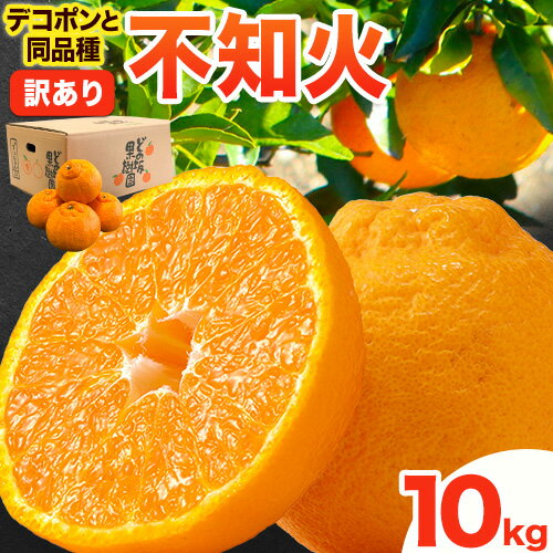 【ふるさと納税】【先行予約】 デコポン 訳あり 不知火 ( デコポン と同品種 ) しらぬい 約 10kg (M〜5Lサイズ) どの坂果樹園《2027年2月上旬-4月上旬頃出荷》 和歌山県 日高町 しらぬい でこぽん 旬 果物 フルーツ 柑橘 訳あり不知火 訳ありデコポン 訳ありしらぬい