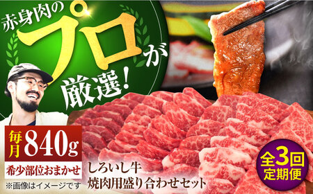 【3回定期便】 焼肉用盛り合わせセット（希少部位）各回840g / 佐賀 和牛 お肉 牛肉 焼肉 赤身 BBQ バーベキュー 九州 [IAH047]