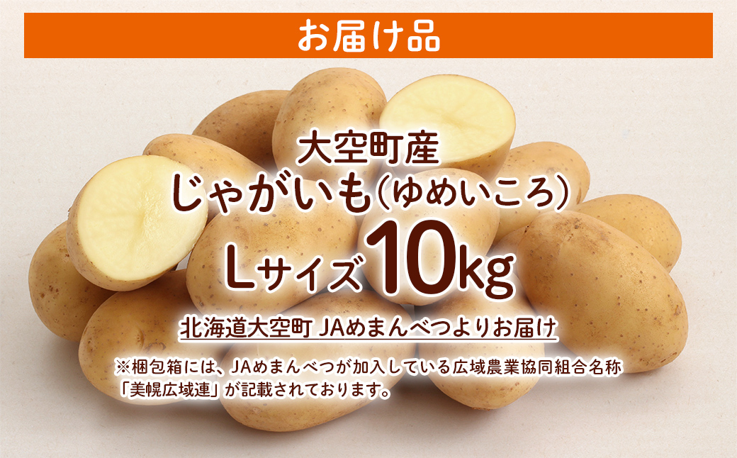 【先行予約】じゃがいも（ゆめいころ） Lサイズ 10kg 大空町産（2026年10月以降順次発送） OSR011