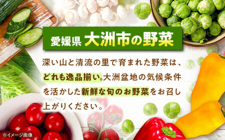 【9月下旬より順次発送】自然の恵みと伝統が育んだ！大洲産トロトロさといも（Lから2Lサイズ）4kg 愛媛県大洲市/沢井青果有限会社 [AGBN003]野菜里芋さといも野菜里芋さといも野菜里芋さといも
