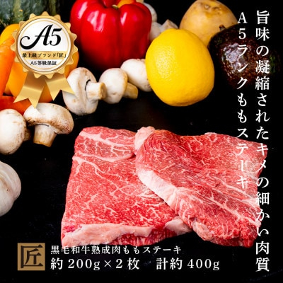 
おやま和牛 A5 極 熟成肉 モモ肉ステーキ用 約200g×2枚【1096930】
