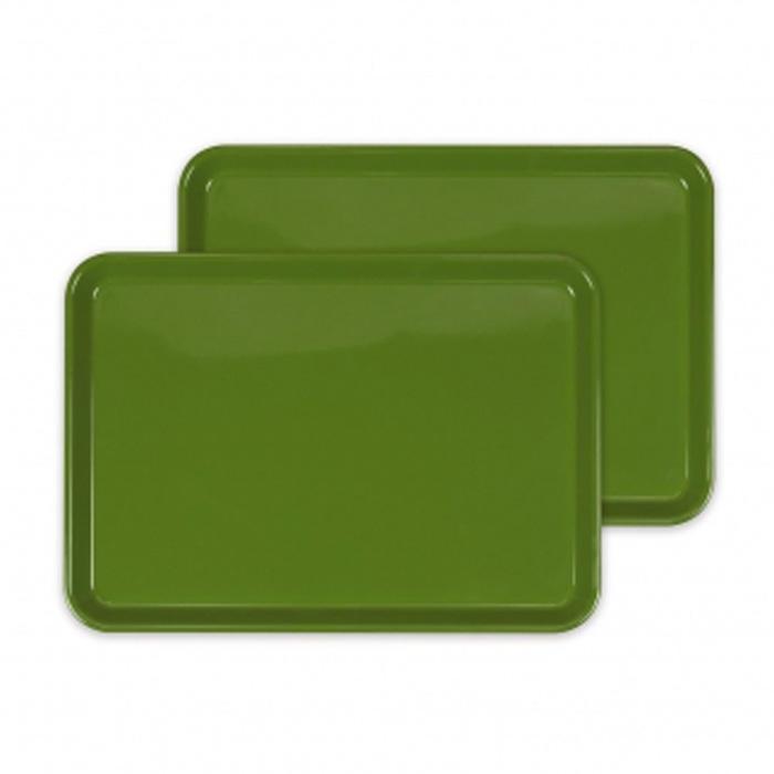 【ふるさと納税】カラフルピノトレー M 33cm ティーグリーン 2枚組 タツクラフト 【Tk48】 | 橋本達之助工芸 TATSU-CRAFT おしゃれ 送料無料 日用品 キッチン