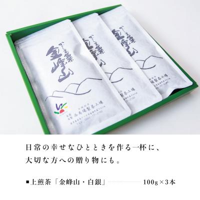 ふるさと納税 南さつま市 ★2025年新茶★【西馬場製茶】かごしま茶「金峰山・白銀」3本セット(100g×3) |  | 02