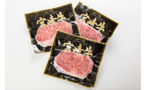 宮崎牛サーロインステーキ　600g（200g×3枚）_A0058-007