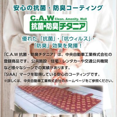 ふるさと納税 王寺町 TENPYO PATTERN　スマートフォンケース〈汎用型〉BU(仏像)Mサイズ |  | 02