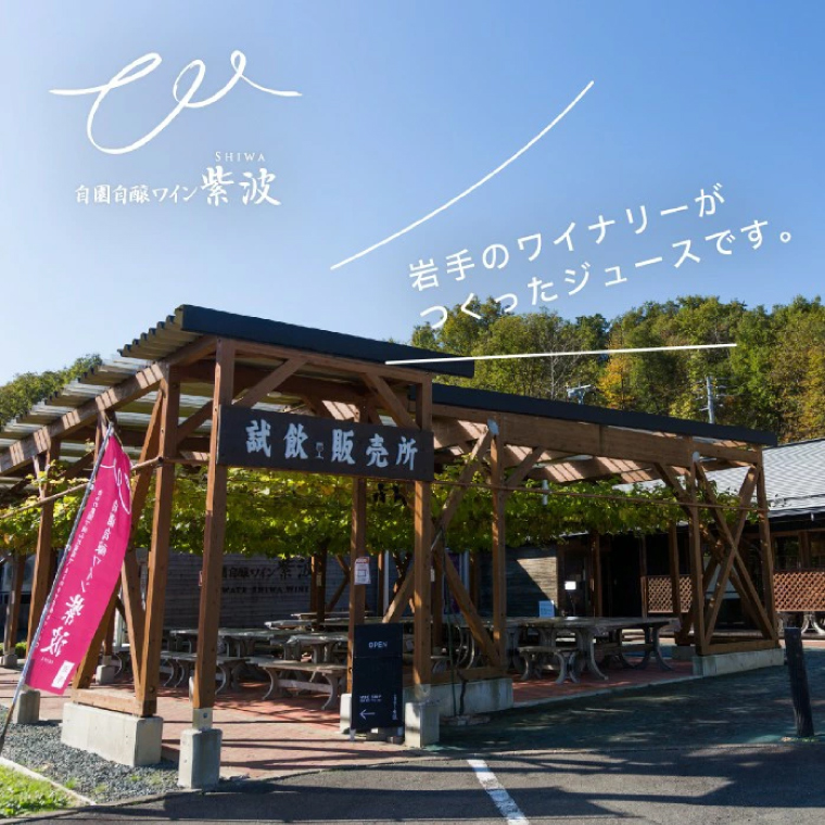 ＼贈り物・ギフトに最適／ 無添加 無加糖 100%ストレート 濃厚 6か月熟成「紫波町のぶどうジュース２本セット」(AL062-1)